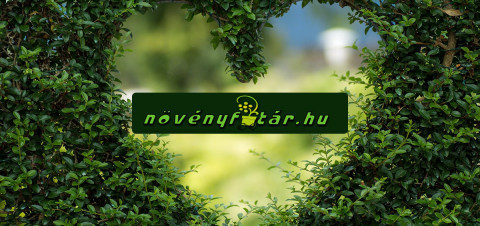 Növényfutár