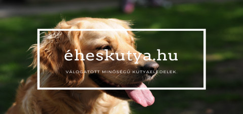 Éheskutya.hu