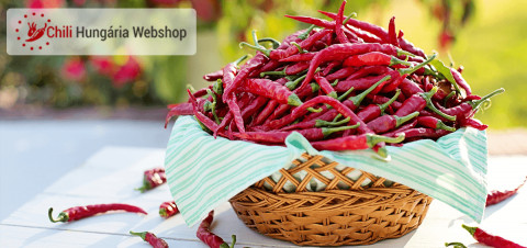 Chili Hungária Webshop