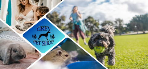 Grey Pet Shop