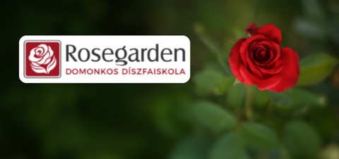 Rosegarden-img