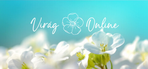 Virág-Online-img
